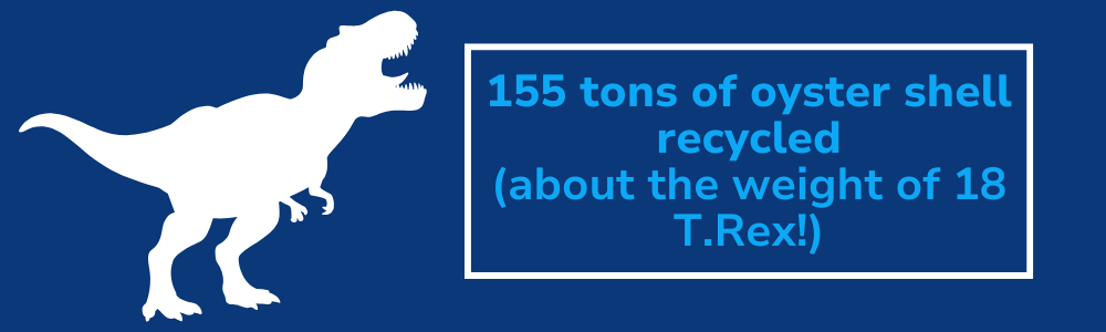Graphic of T. rex dinosaur with shell recycling stats on it